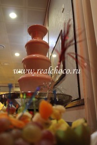 Фонтан 60см (4 яруса) пакет Стандарт