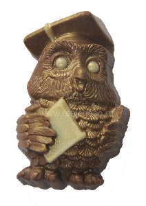 Фигурный шоколад "Мудрая сова" ок.75гр